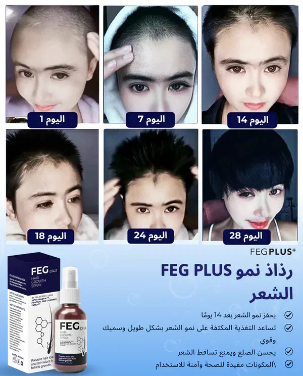 FEG Plus Organic Hair Growth Treatment Oil